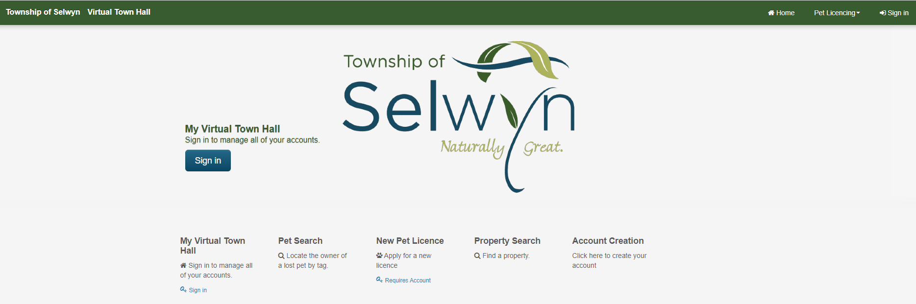 Image of the Virtual Town Hall home page