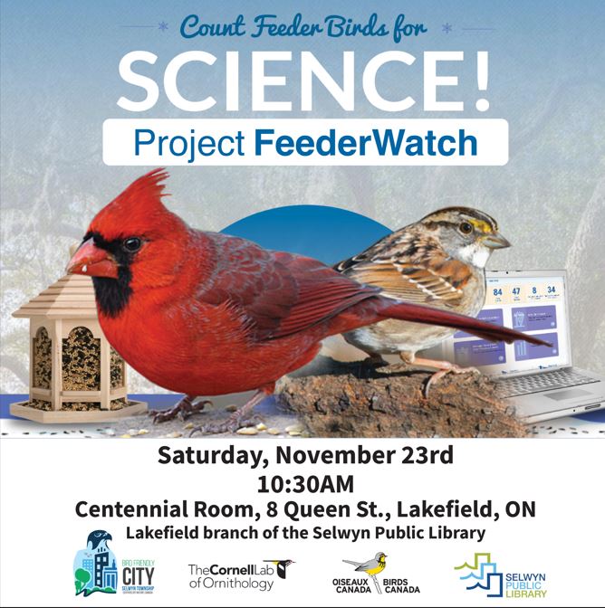 feederwatch 2024